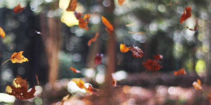 大成装饰智能家居系统整合方案:从灯光到安防的一体化设计,重塑住宅、商业与工业风空间