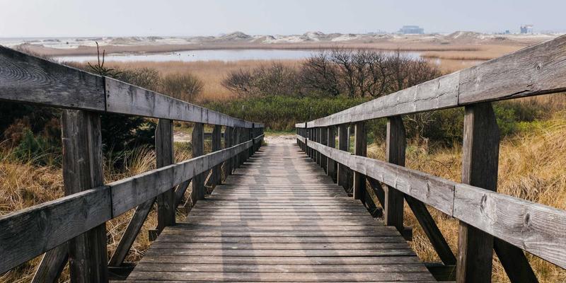 工业风装修如何兼顾环保健康?大成装饰揭秘绿色材料选择核心标准